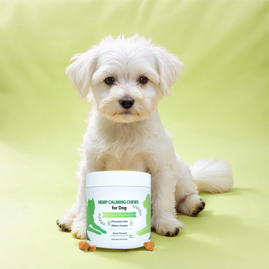 Calm & Cozy Bites — Magnesium & L-Theanine Soothing Chews for Dogs of All Ages