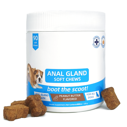 GentleGut™ — Daily Probiotic + Prebiotic Chews to Promote Healthy Digestion and Gut Function in Dogs